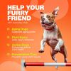 Hip Joint Health Supplement 180 Soft Chews Joint Supplement for Dogs with Glucosamine Chondroitin MSM Turmeric